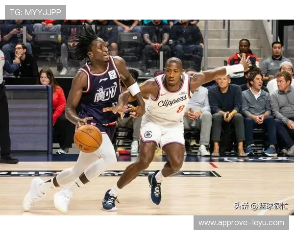 森林狼最新赛季全解析：球员表现、战术变化与未来前景展望