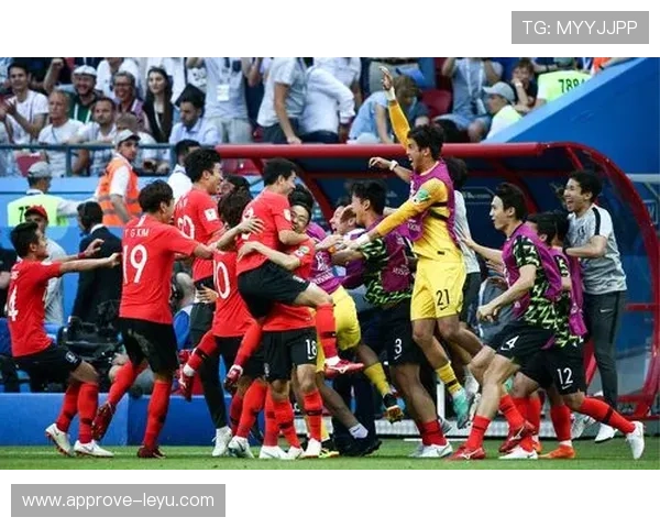 世界杯历史战绩深度分析各队表现与关键因素解析