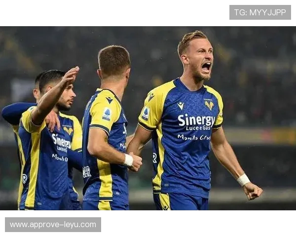 维罗纳足球俱乐部：历史传承与未来展望的完美交织